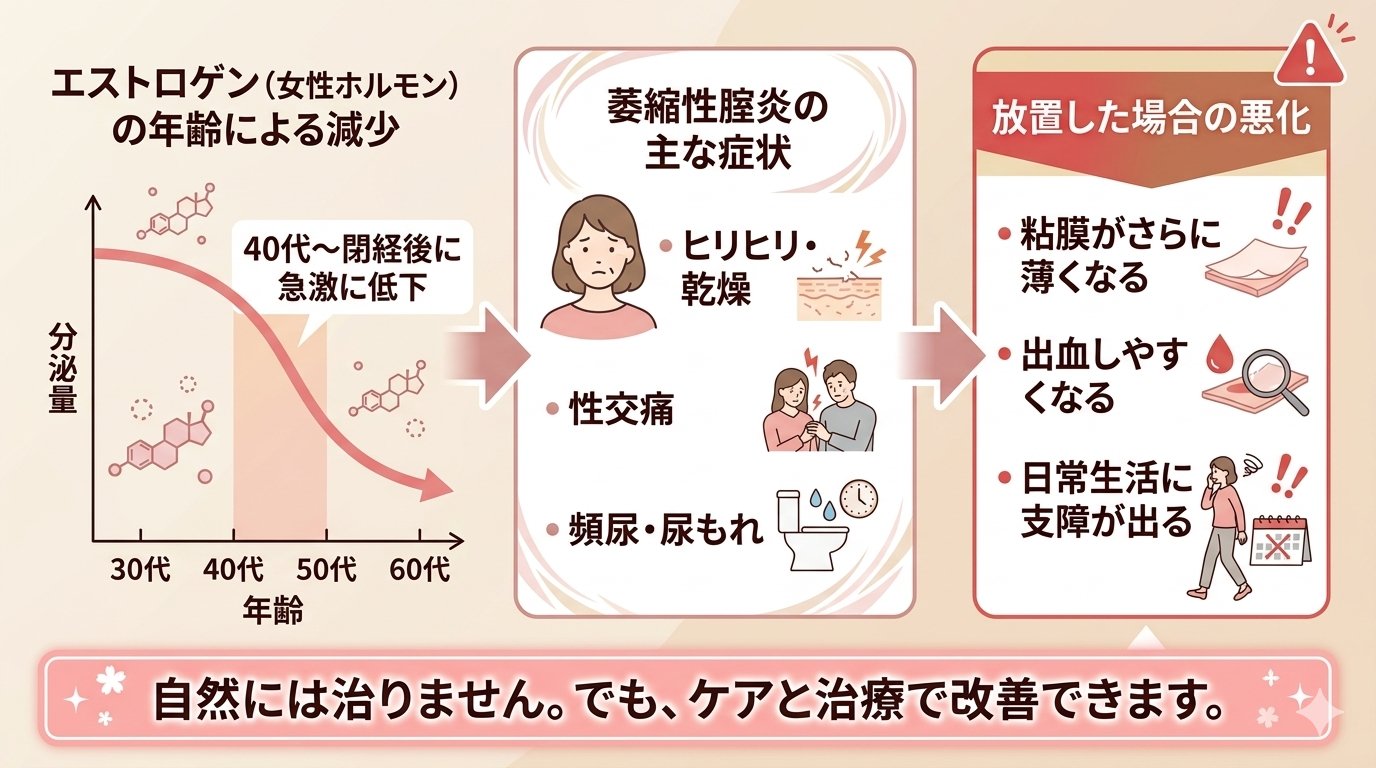 萎縮性腟炎のしくみ — エストロゲン低下から症状・放置リスクまでの図解